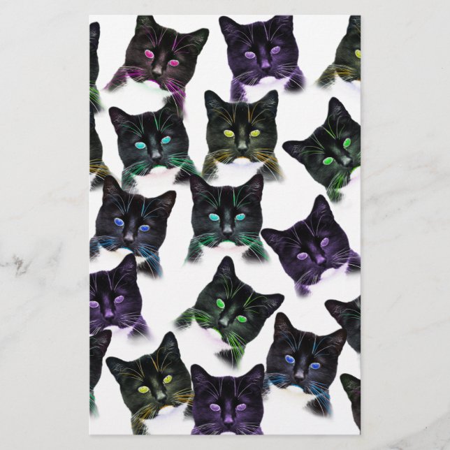 Cool Cats Stationery (Front)