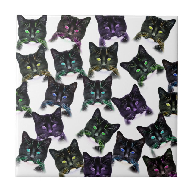 Cool Cats Tile (Front)