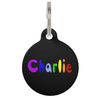 Cool Colourful Charlie Name Tag