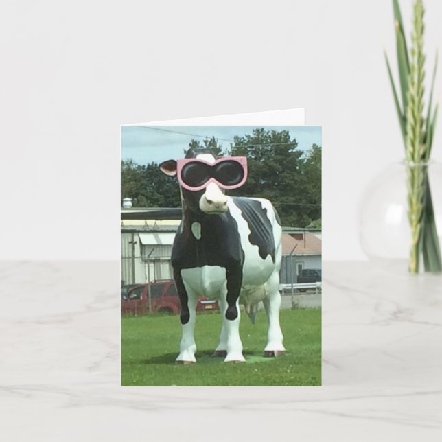 cool cow 1 card (Front)