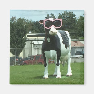 cool cow 1 magnet