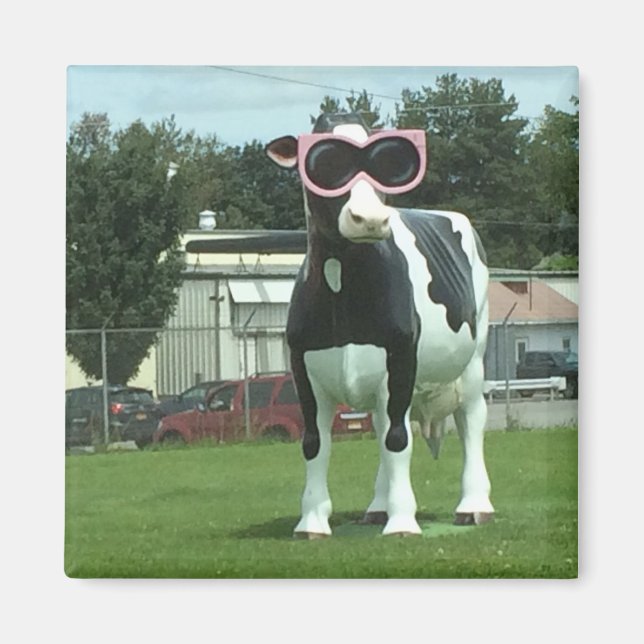 cool cow 1 magnet (Front)