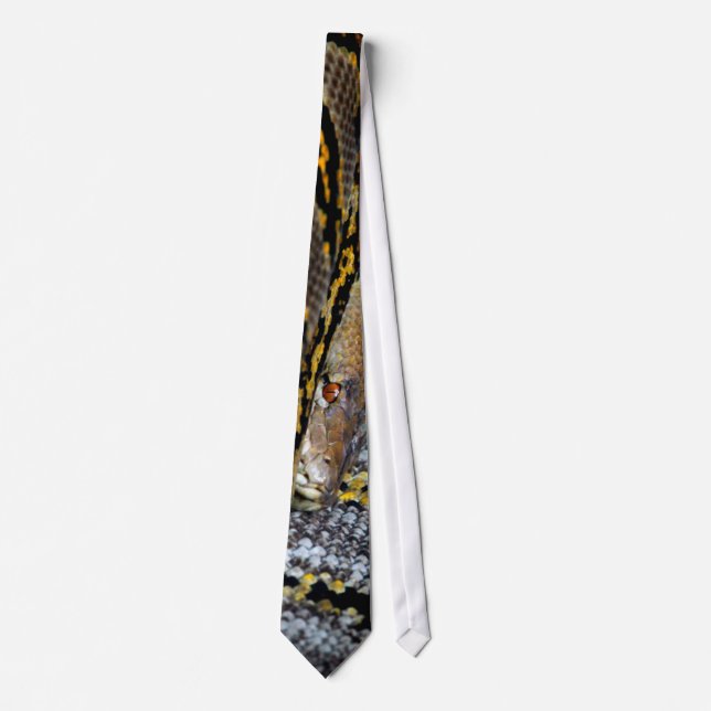 Cool Dad Bro Snakeskin Reptile Python Snake 2013 Tie (Front)