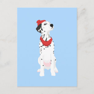 Cool Dalmatian with Red Winter Hat and Shawl Postcard
