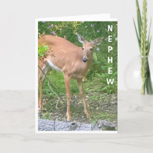 **COOL DEAR** SAYS HAPPY BIRTHDAY NEPHEW CARD