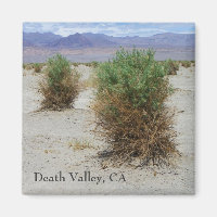 Cool Death Valley Magnet!