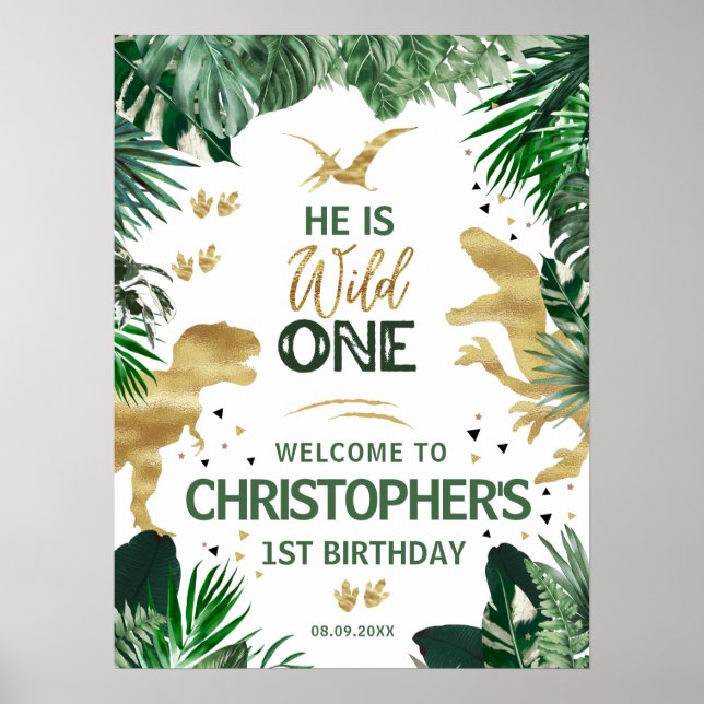 Cool Dinosaurs Birthday Party Welcome Poster (Front)