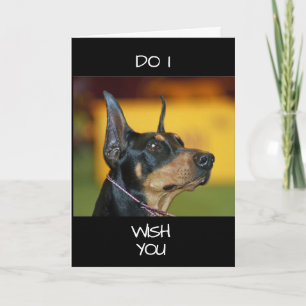 **COOL DOBERMAN** says HAPPY "40th" Card
