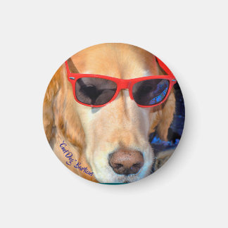 "Cool Dog" Barticus Magnet