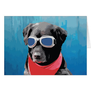 Cool Dog Black Lab Red Bandanna Blue Goggles