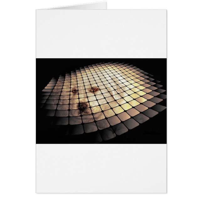 Cool Dog Digital Art (Front)