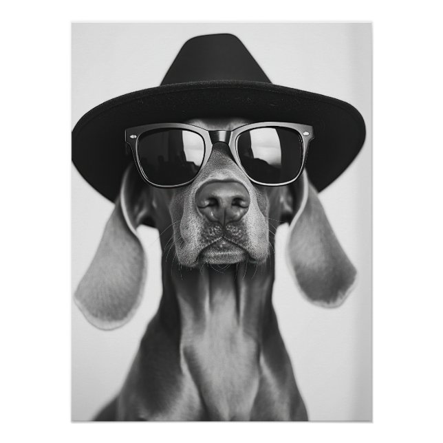 Cool Dog Portrait - Weimaraner in Hat and Sunglass Poster (Front)