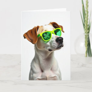 Cool Dog Shamrock Card