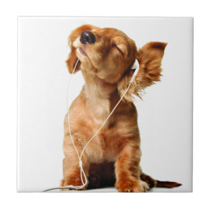 Cool Dog Tile