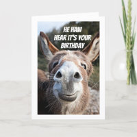 **COOL DONKEY SAYS "HAPPY BIRTHDAY" DAD