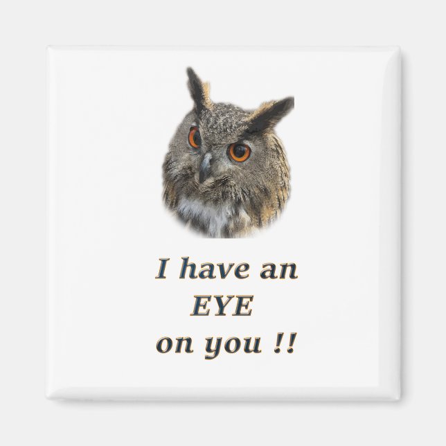 Cool eagle owl magnet (Front)
