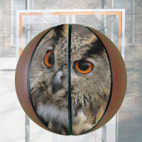 Cool eagle owl photography