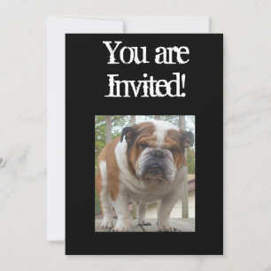 Cool English Bulldog Invitation Birthday or Any Oc