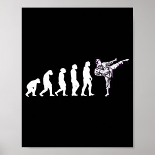 Cool Evolution Taekwondo Karate Aikido Ju Jutsu Poster