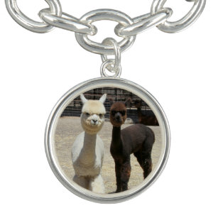 Cool for School Alpaca Bracelet