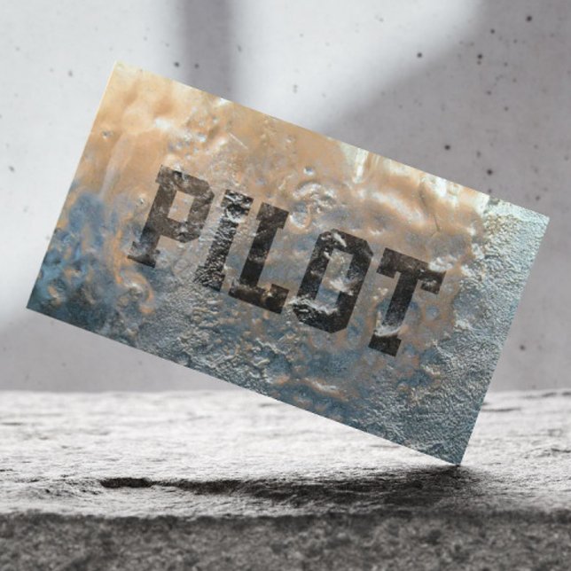 Cool Frozen Ice Pilot/Aviator Business Card (Creator Uploaded)