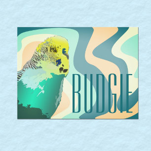 Cool Funky Retro 80's Blue Green Budgie Pet Bird Postcard