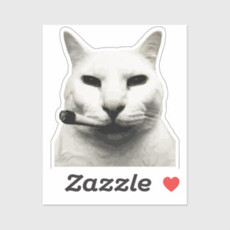 Cool Funny Cat Meme Smoking Cat cigarette