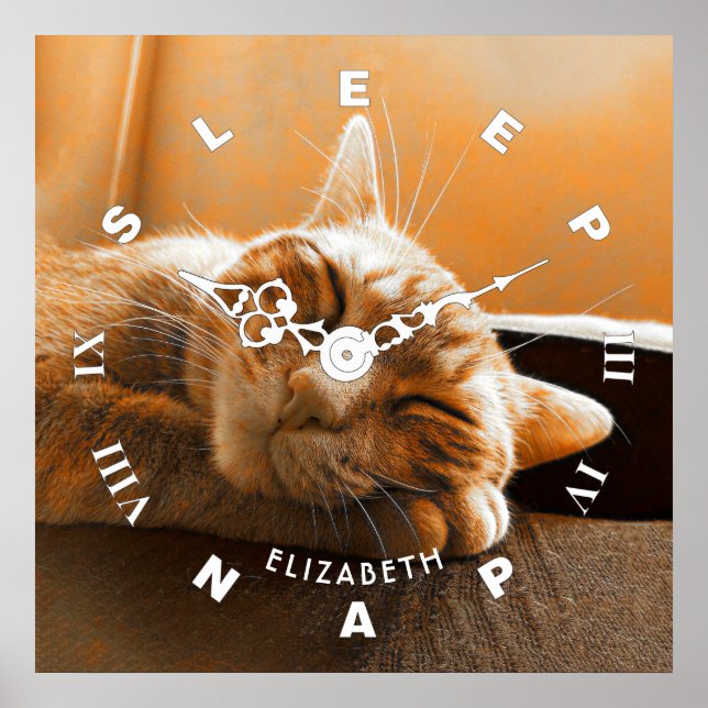 Cool Funny Cat Sleeping And Napping Clock Poster (Front)