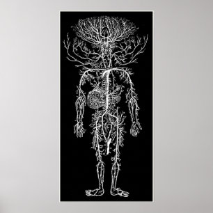 Cool Funny Geek Man's Circulatory System Custom Poster