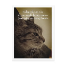 Cool & Funny Room Welcome Postcard