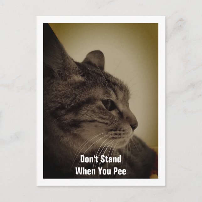 Cool & Funny Toilet Pee Sign Postcard (Front)