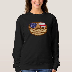 Cool Gecko Wearing Usa Flag Sunglasses Us America Sweatshirt