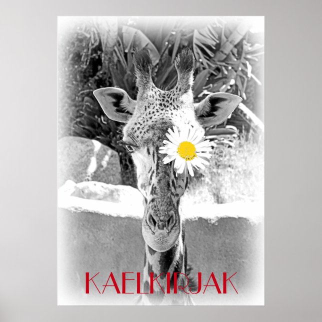 Cool Giraffe Poster! Poster (Front)