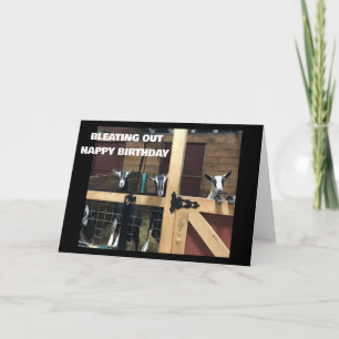 COOL GOATS BLEAT OUT "HAPPY 40th BIRTHDAY" Card