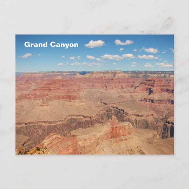 Cool Grand Canyon Postcard! Postcard (Front)