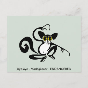 Cool graphic - AYE-AYE- lemur - primate - Postcard