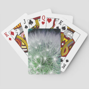 Cool green and white dandelion with waterdrops playing cards