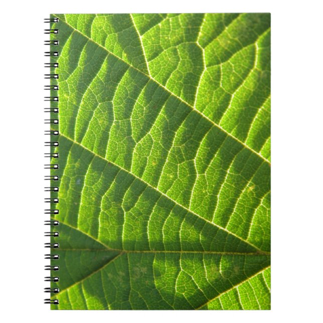 Cool green leaf print notebook (Front)