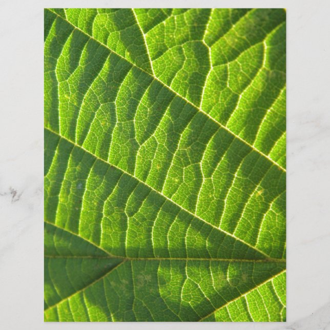 Cool green leafprint (Front)