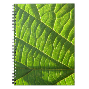 Cool green leafprint notebook