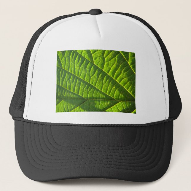 Cool green leafprint trucker hat (Front)