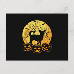 Cool Halloween Costumes Chihuahua Dog Lover Gifts Holiday Postcard