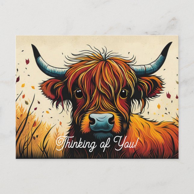 Cool Highland Cow Face Close Up Thinking of You Postcard (Front)