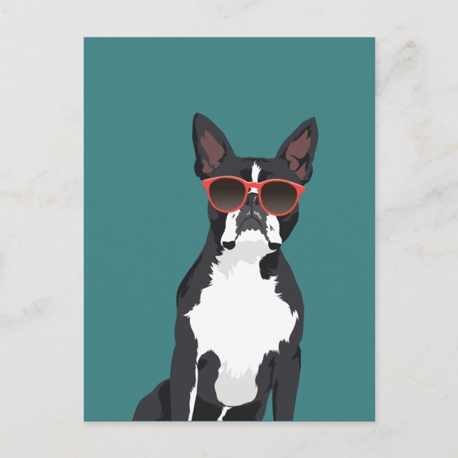 Cool Hipster Black and White Boston Terrier Postcard (Front)