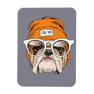 Cool Hipster Bulldog Magnet