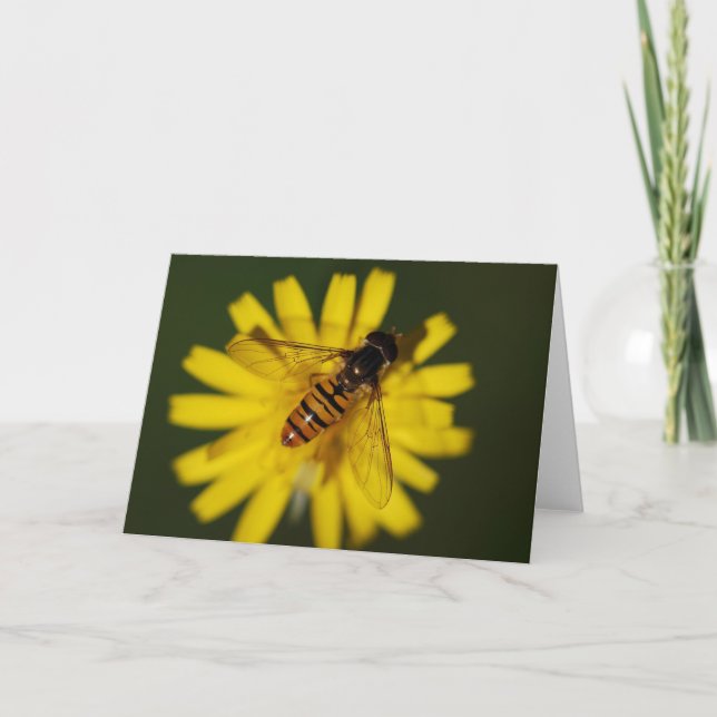 Cool Honey Bee on Flower in Nature Photography Card (Front)