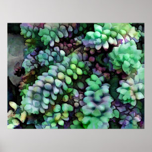 Cool Hued Burro's Tails in the Hot Desert Poster