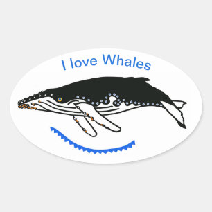 Cool I love WHALES - Ocean Wildlife - Oval Sticker
