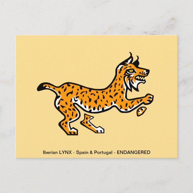 Cool Iberian LYNX- Endangered animal - Wildlife - Postcard (Front)