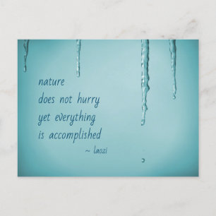 Cool Ice Blue WaterDrops Melting Icicles Zen Quote Postcard